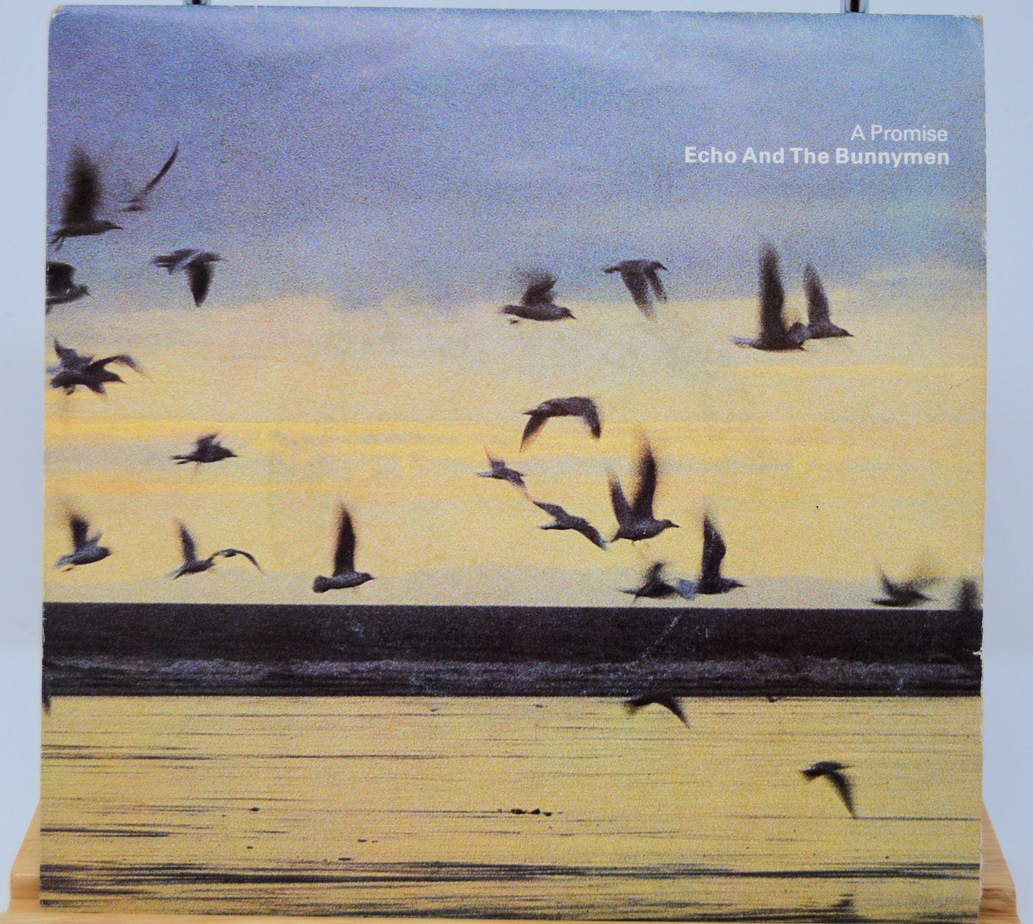Echo & The Bunnymen - A Promise