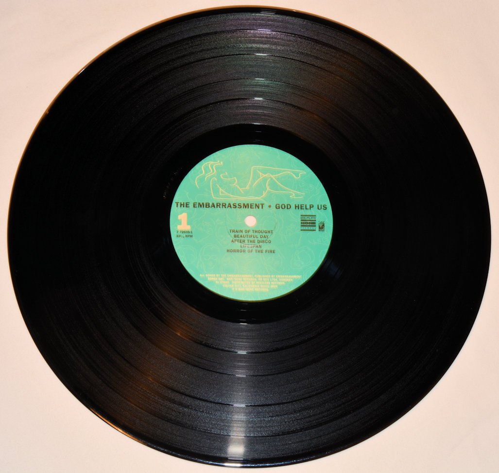 Embarrassment, The - God Help Us