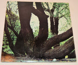 Fat Mattress - Fat Mattress