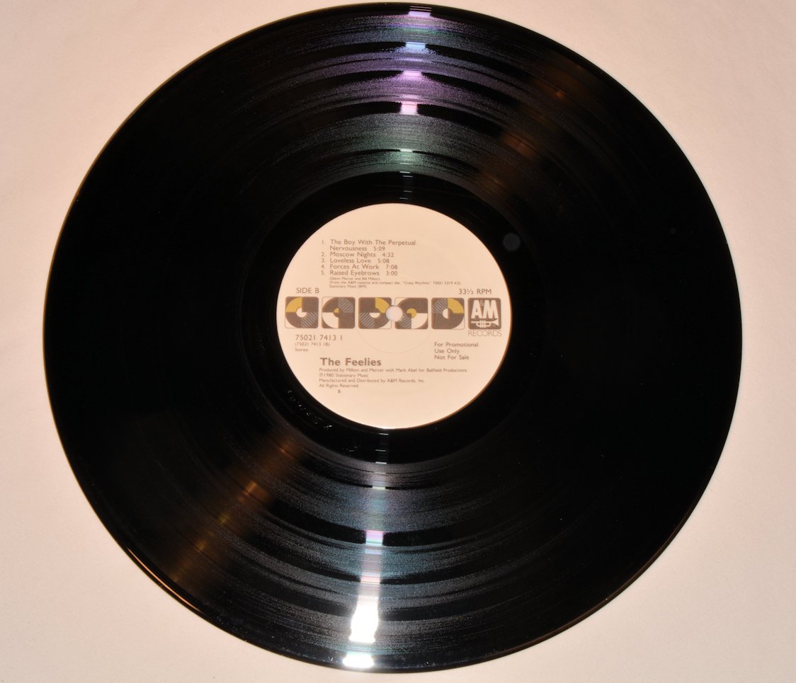 Feelies, The - Paint It Black