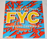 Fine Young Cannibals - She Drives Me Crazy