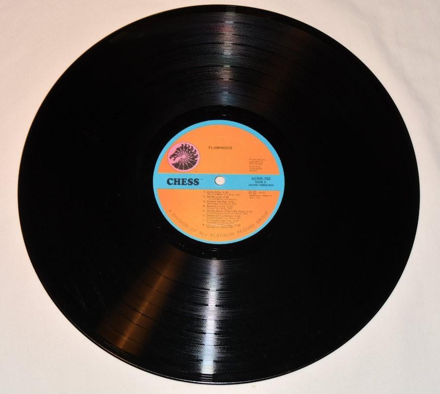 Flamingos - Chess Series