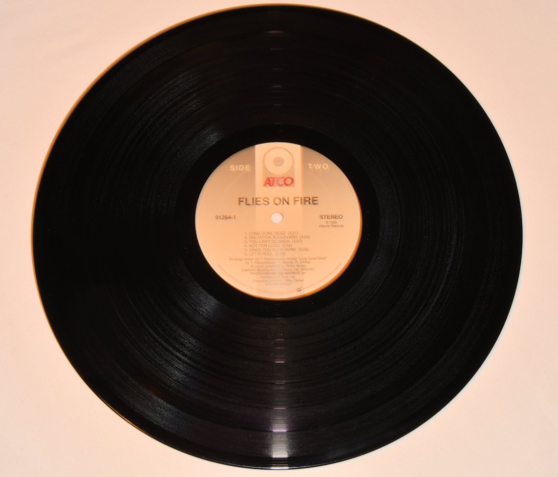 Flies On Fire - Flies On Fire