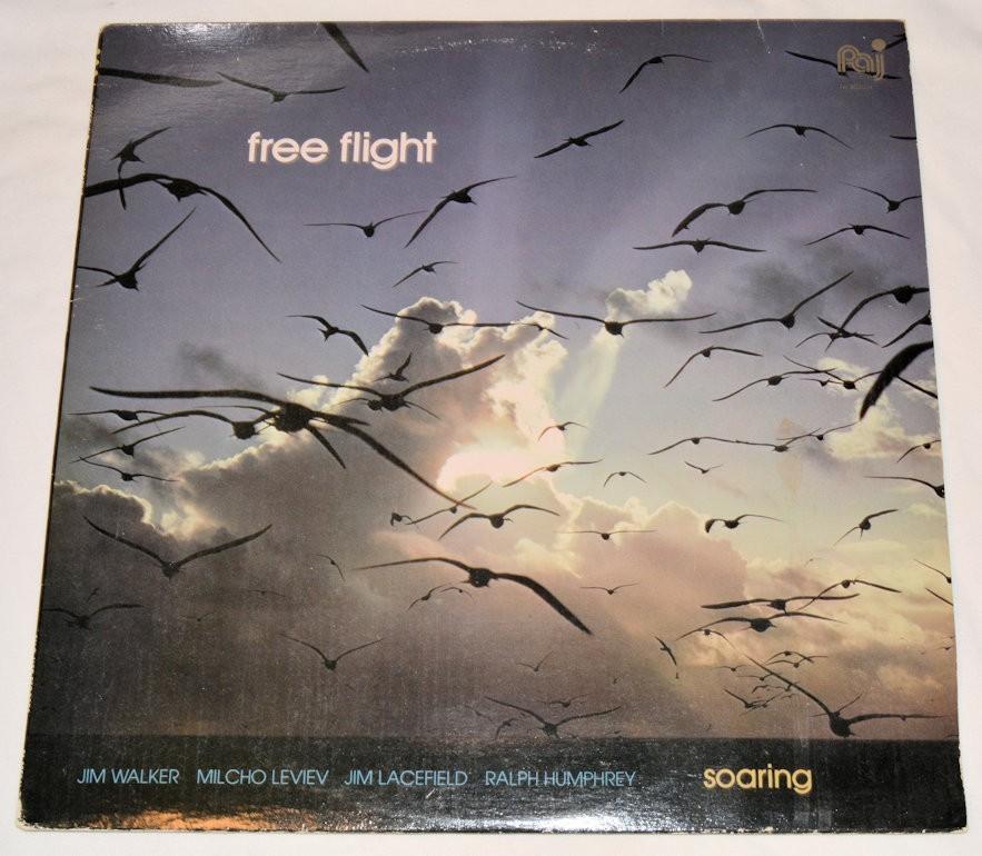 Free Flight - Soaring