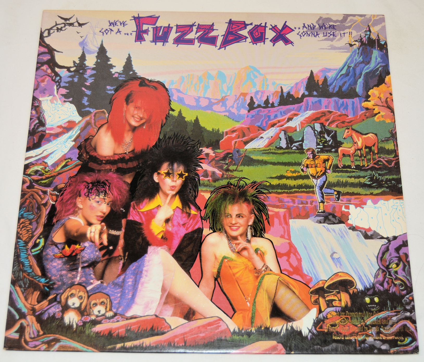 Fuzzbox - We've Got A Fuzzbox & We're Gonna Use It, Vinyl Record LP ...