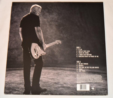 Gilmour, David - Rattle That Lock