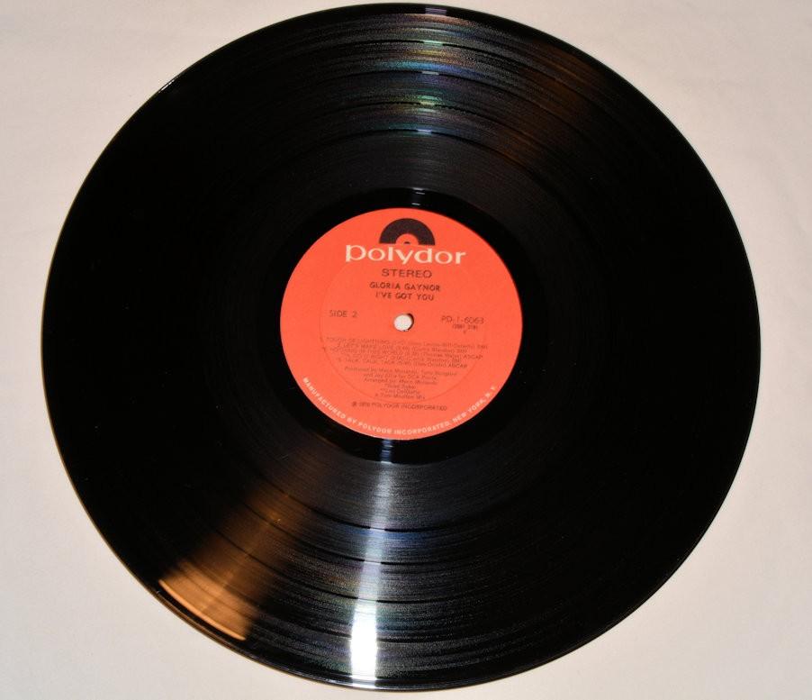 Gaynor, Gloria - I've Got You