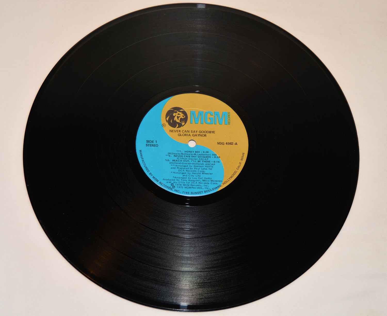 Gaynor, Gloria - Never Can Say Goodbye