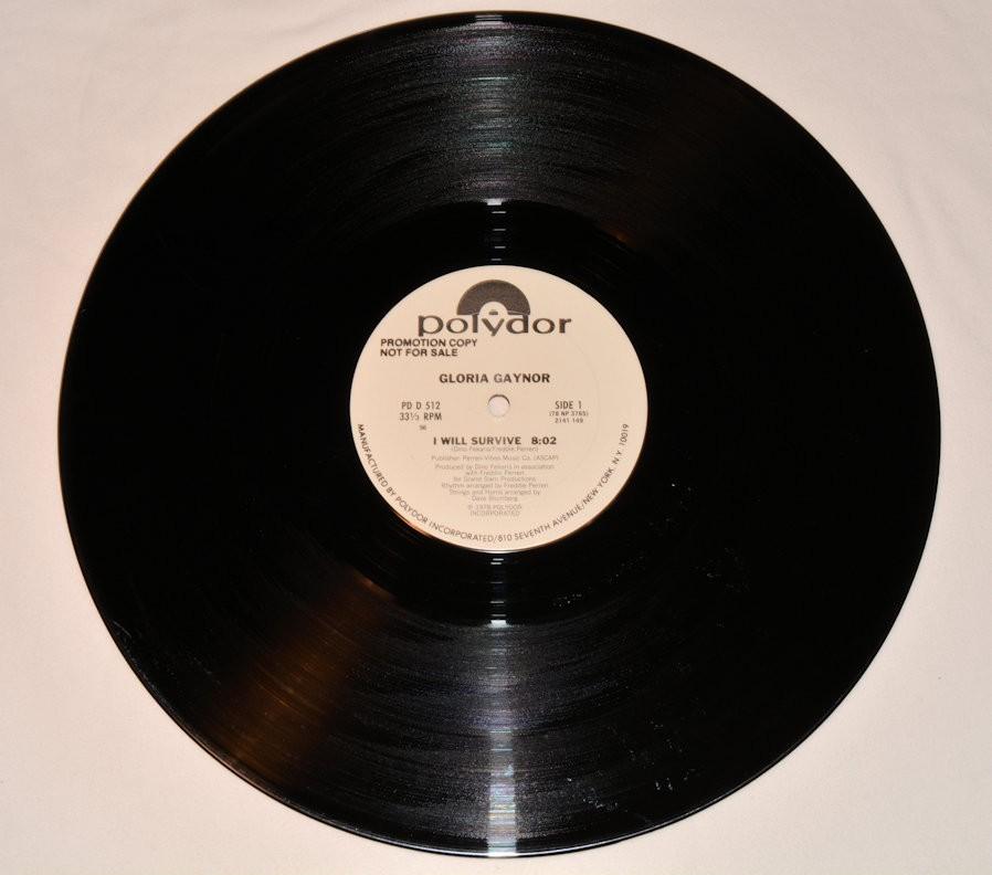 Gaynor, Gloria - I Will Survive