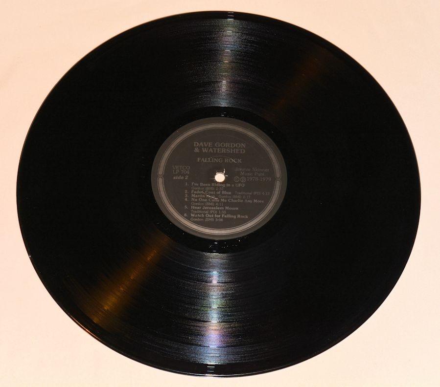 Gordon, Dave - Falling Rock