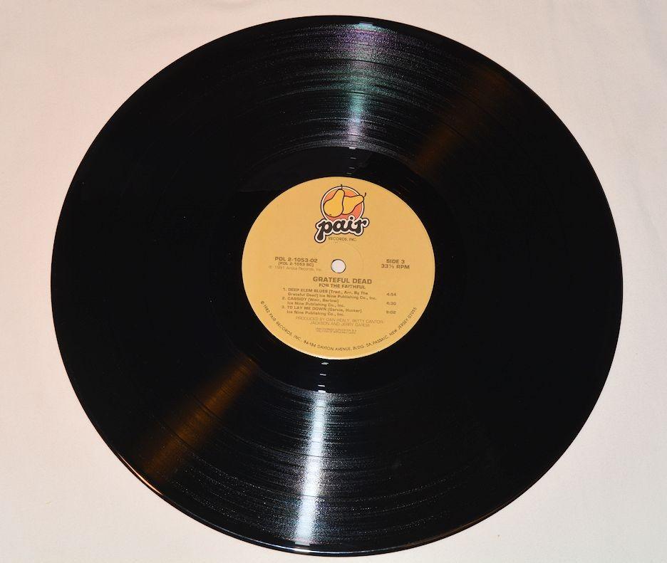 Grateful Dead - For The Faithful