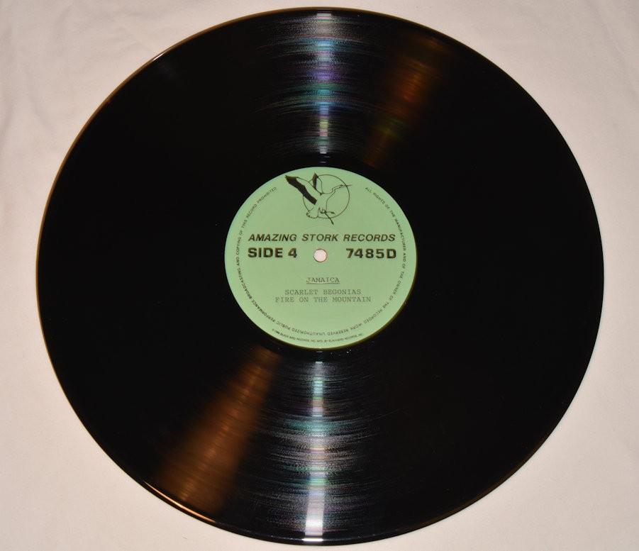 Grateful Dead - Jamaica