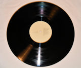 Grizzly Bear - Yellow House