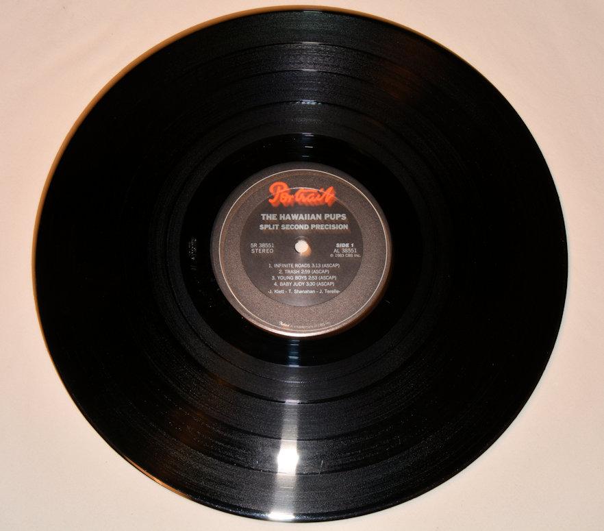 Hawaiian Pups - Split Second Precision