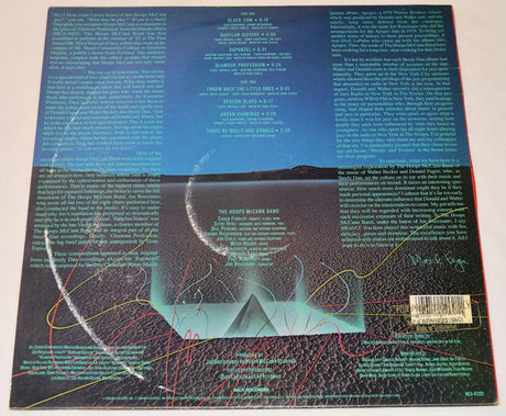 Hoops McCann Band - Plays Steely Dan