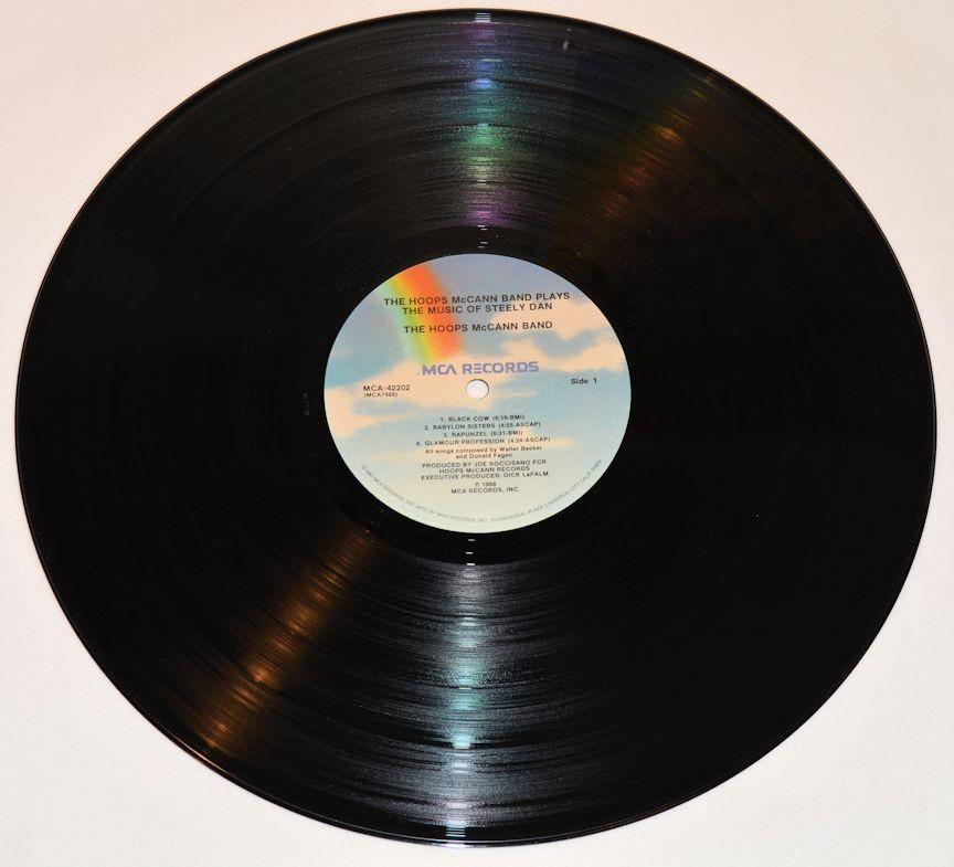 Hoops McCann Band - Plays Steely Dan