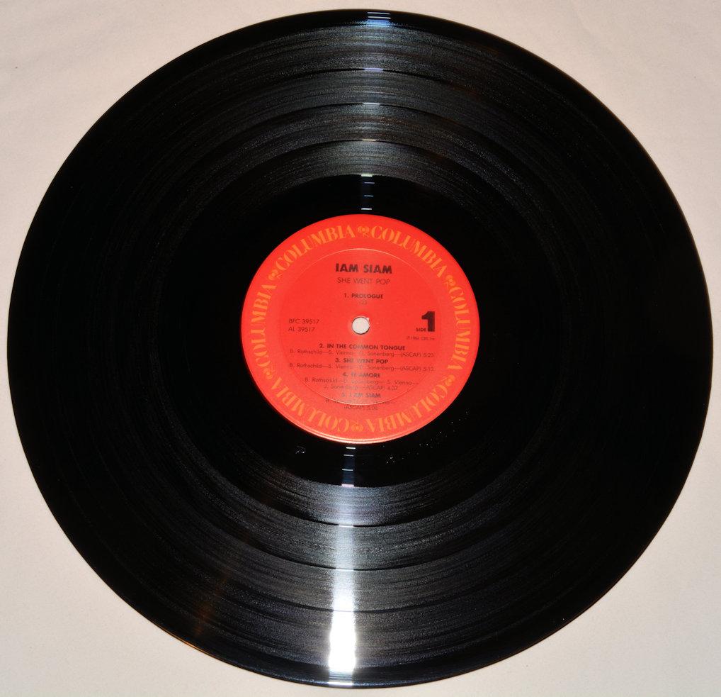 Iam Siam - She Went Pop