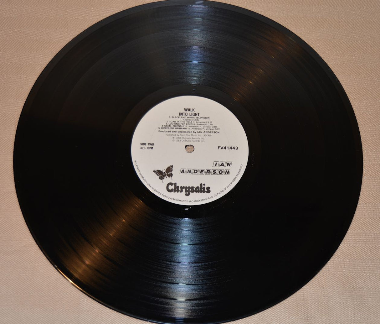 Anderson, Ian - Walk Into Light