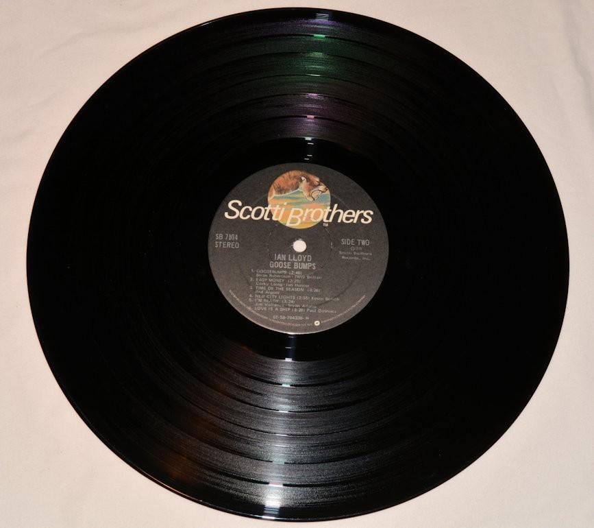 Lloyd, Ian - Goose Bumps