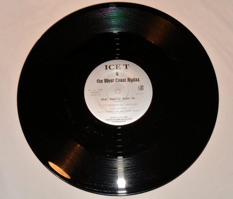 Ice T - What Really Goes On