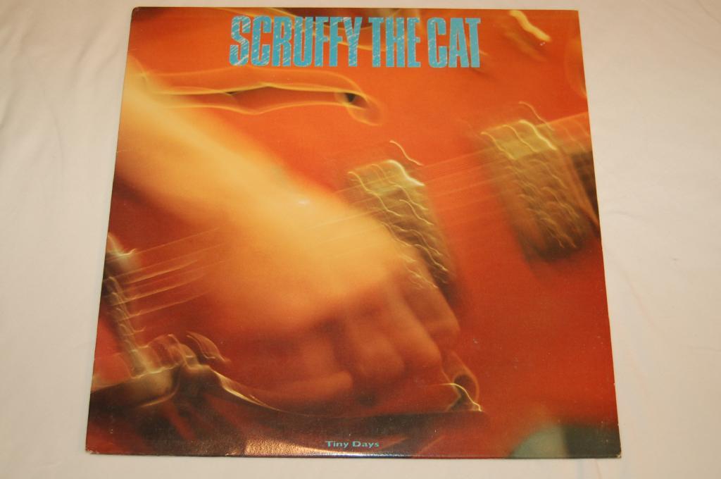 Scruffy The Cat - Tiny Days