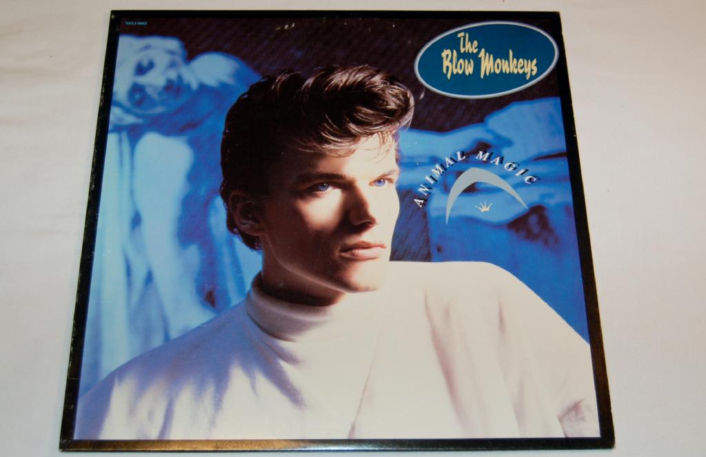 Blow Monkeys - Animal Magic