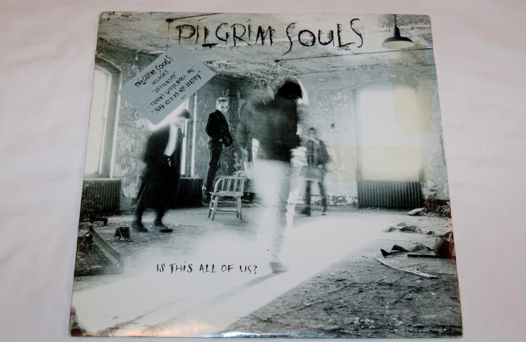 Pilgrim Souls - Is This All Of Us?