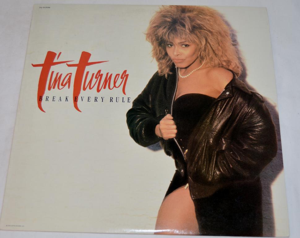 Turner, Tina - Break Every Rule