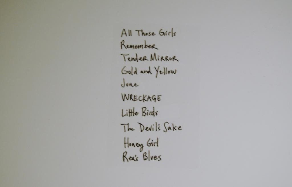 Holland, Jolie - Pint Of Blood