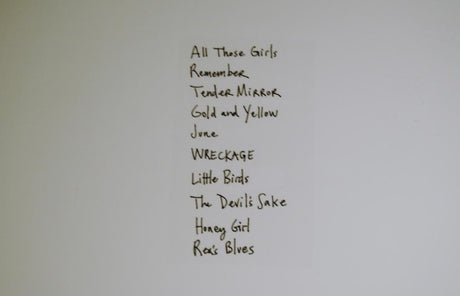 Holland, Jolie - Pint Of Blood