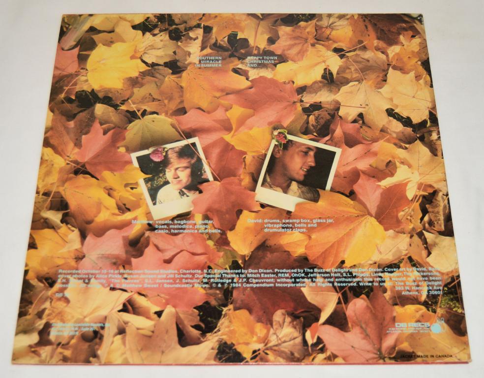 Buzz Of Delight, The - Sound Castles