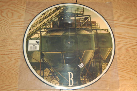 Lunch, Lydia - In Comfort