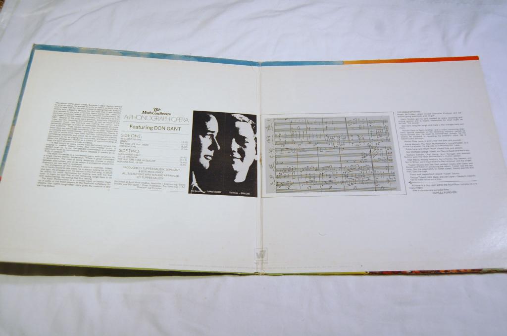 Neon Philharmonic, The - The Moth Confesses