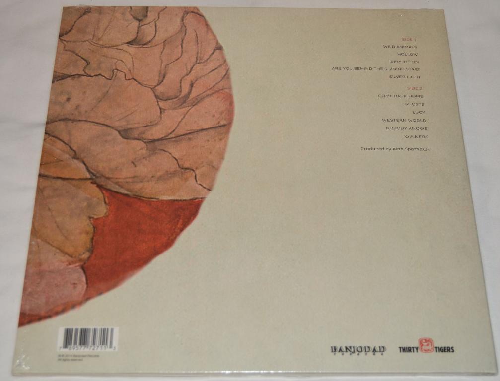 Trampled By Turtles - Wild