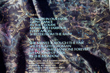 All About Eve - All About Eve