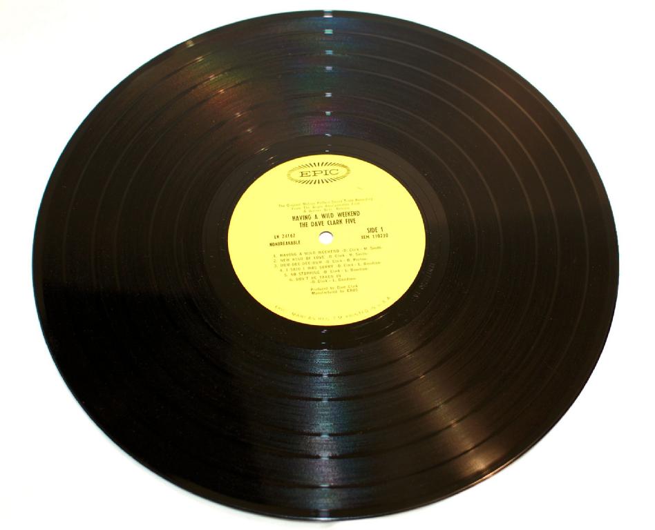 Dave Clark Five - Having A Wild Weekend