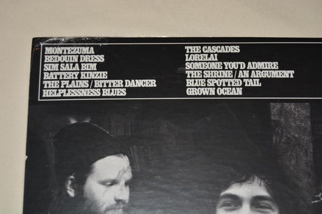 Fleet Foxes - Helplessness Blues
