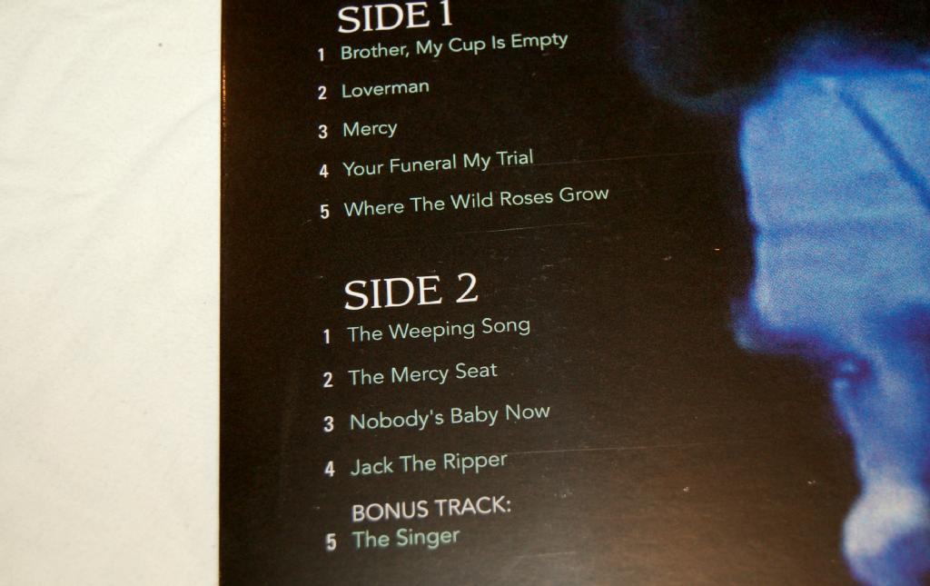 Cave, Nick & Bad Seeds - Live In Germany