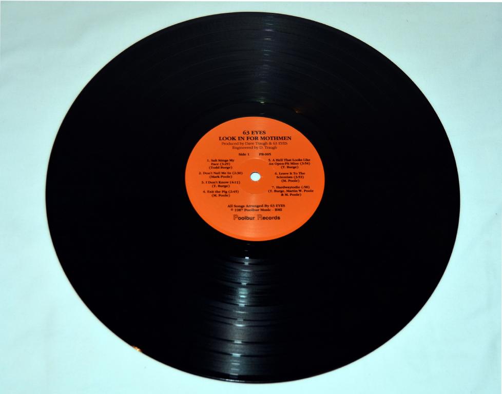 63 Eyes - Look In For Mothmen