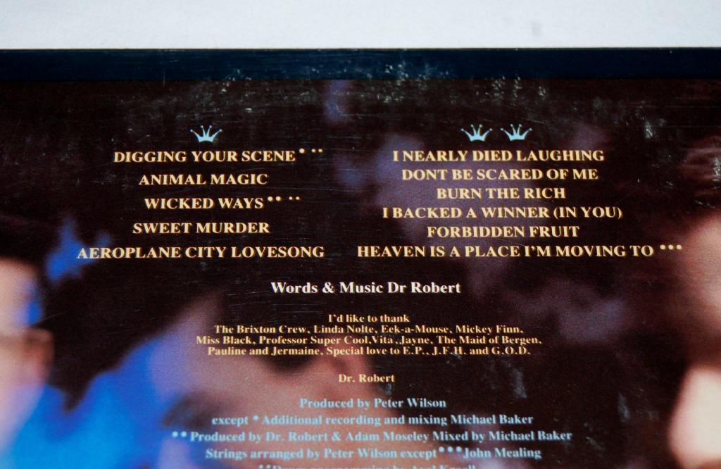 Blow Monkeys - Animal Magic