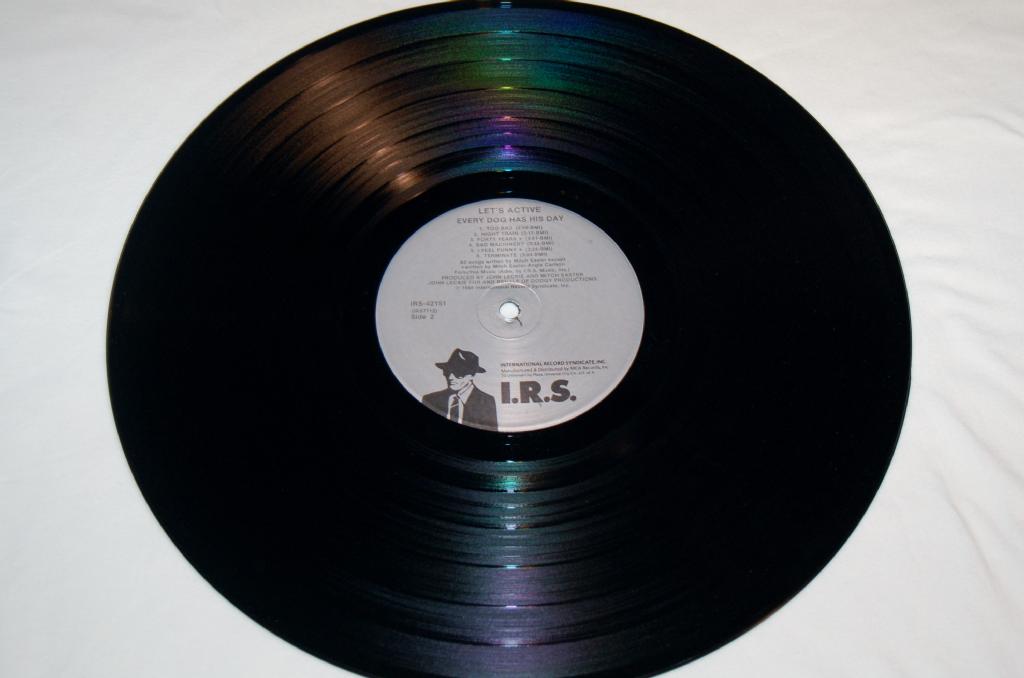 Let's Active - Every Dog Has His Day