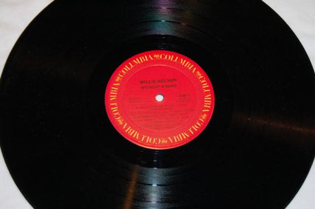 Nelson, Willie - Without A Song
