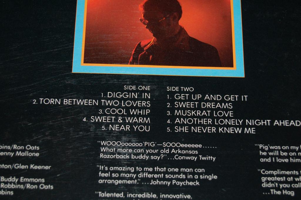 Robbins, Hargus "Pig" - Instrumentalist Of The Year