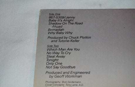 Tutone, Tommy - Tommy Tutone 2