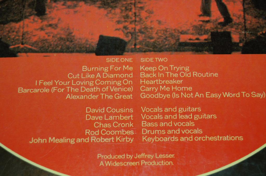 Strawbs - Burning For You