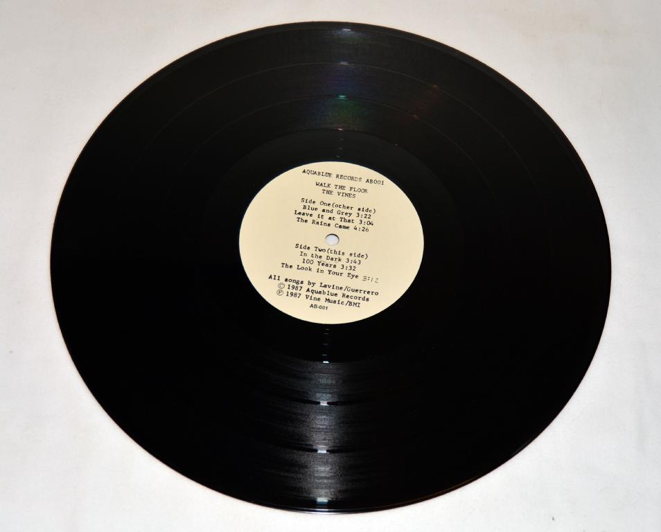 Vines, The - Walk The Floor