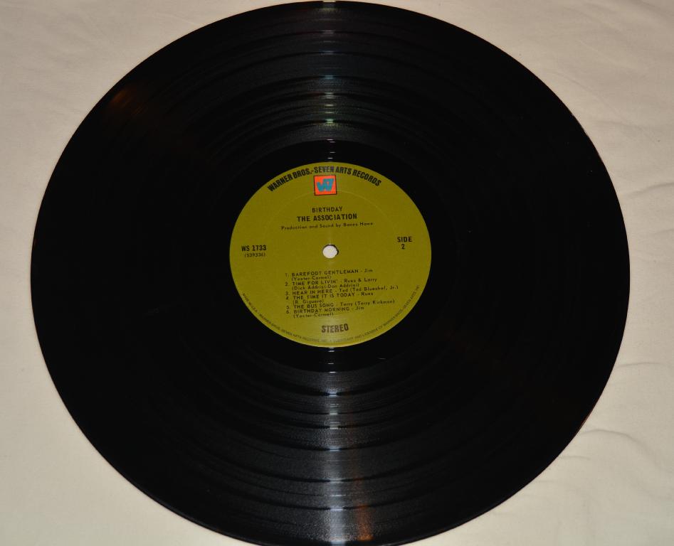 Association, The - Birthday