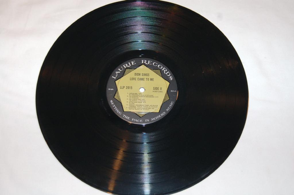 Dion - Love Came To Me