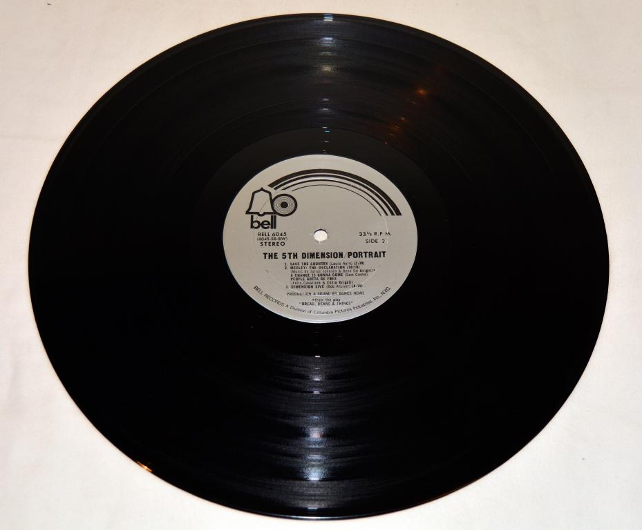 5th Dimension - Portrait