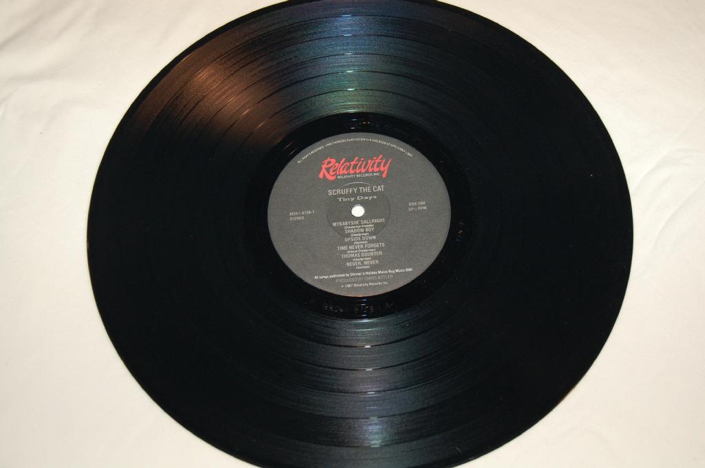 Scruffy The Cat - Tiny Days